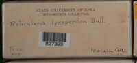 Image Associated With the Occurence